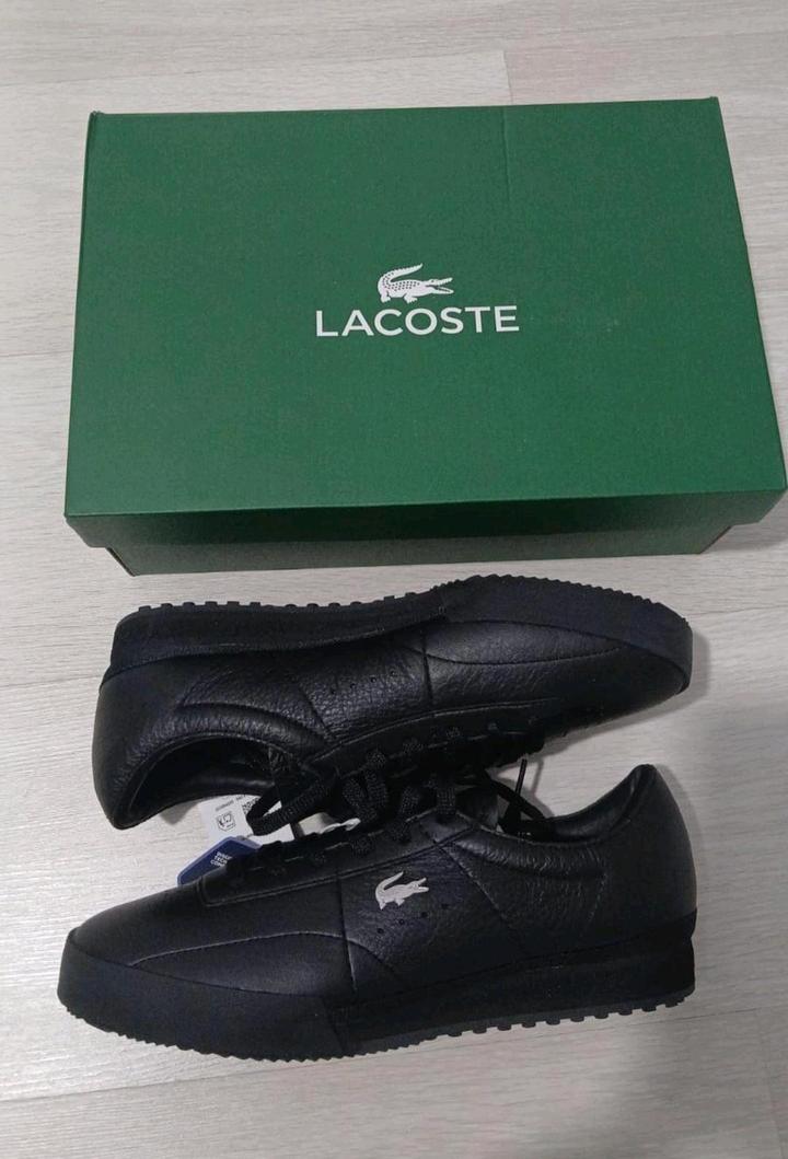 Кроссы мужские от Lacoste