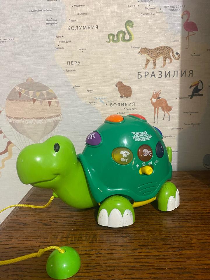 Музыкальная игрушка черепашка
