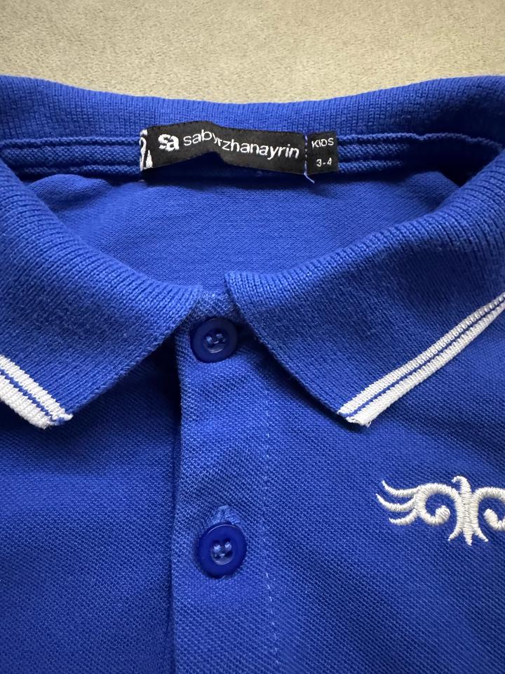 Футболка поло синего цвета Sabyrzhanayrin