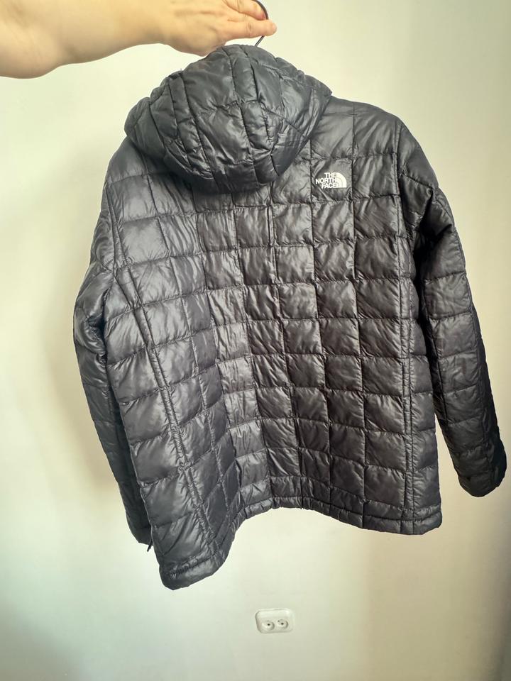 The north face