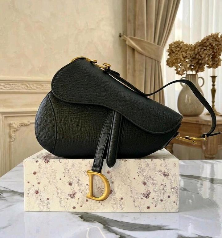 Dior Saddle Bag