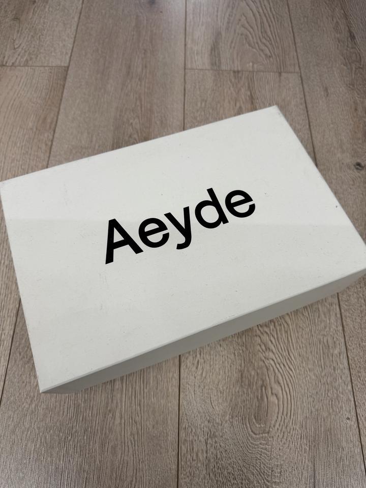 Трендовые балетки Aeyde