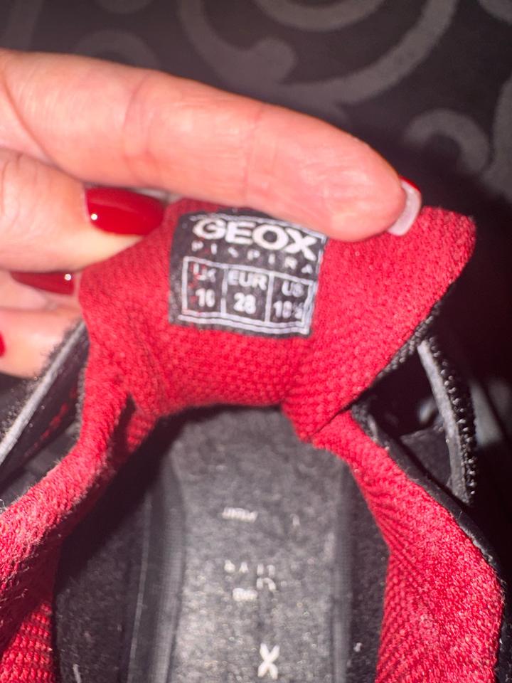 Ботинки Geox