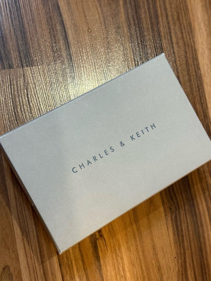 Charles & keith сумка мини
