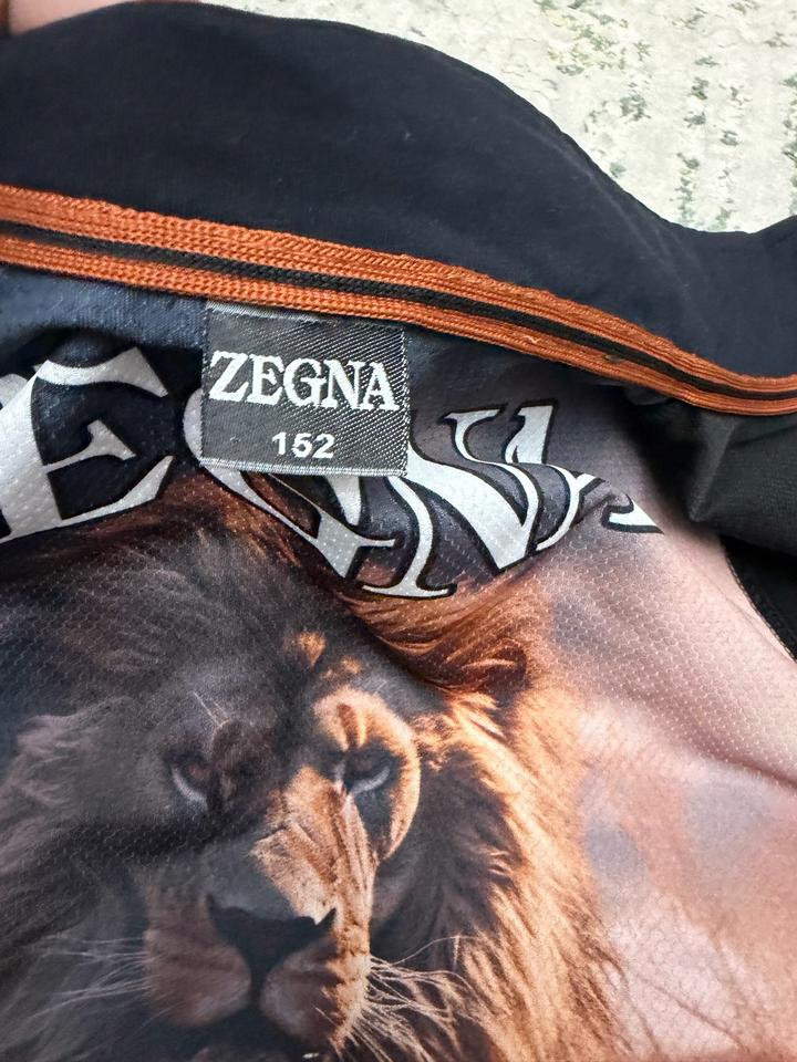 Олимпийка Zegna
