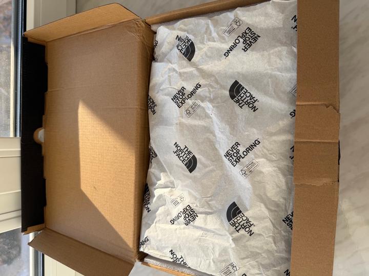 Демисезонные мужские кроссовки the north face