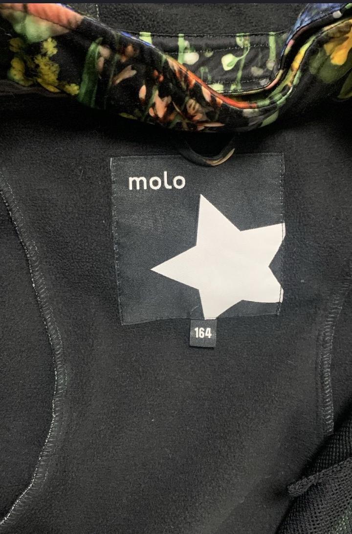 Ветровка molo