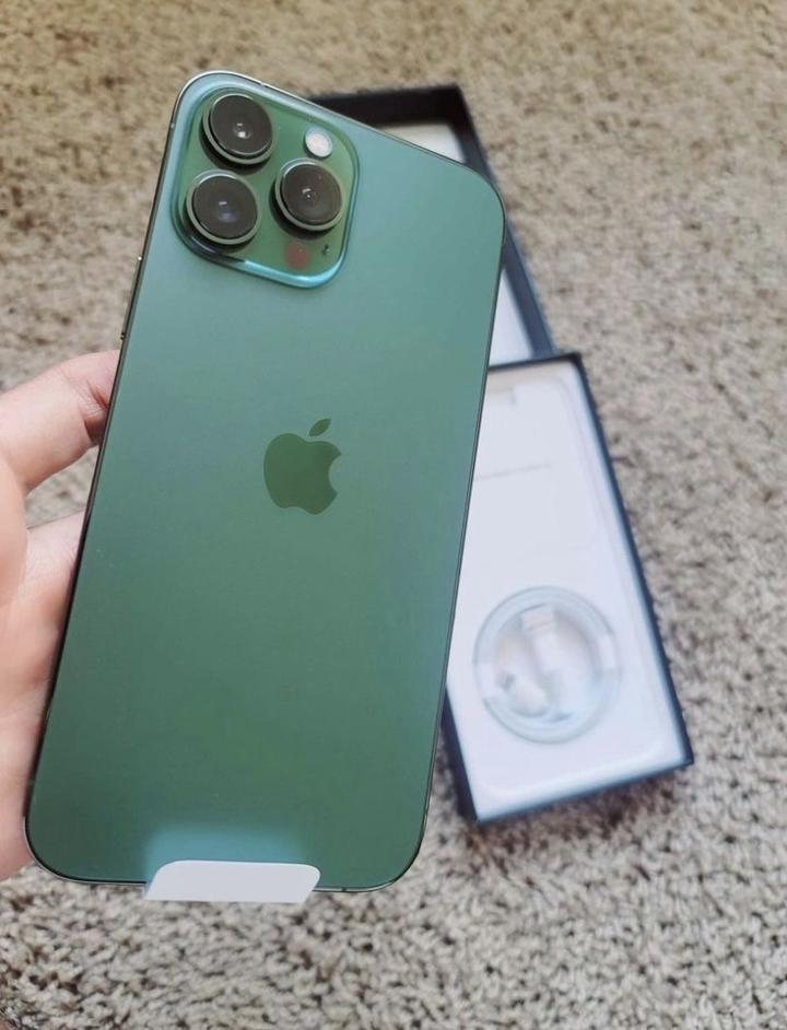 iPhone 13 Pro Max