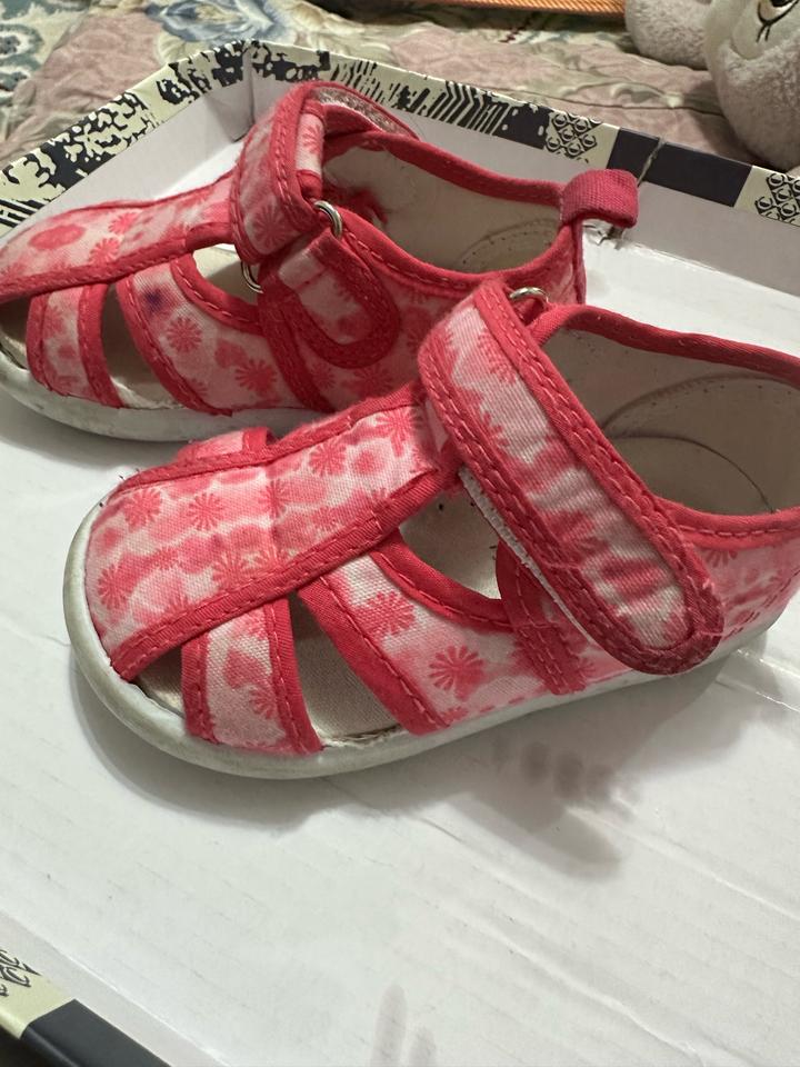 Розвый цвет