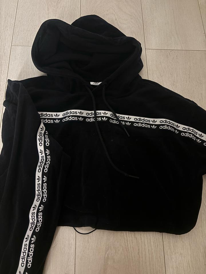 велюровый костюм adidas