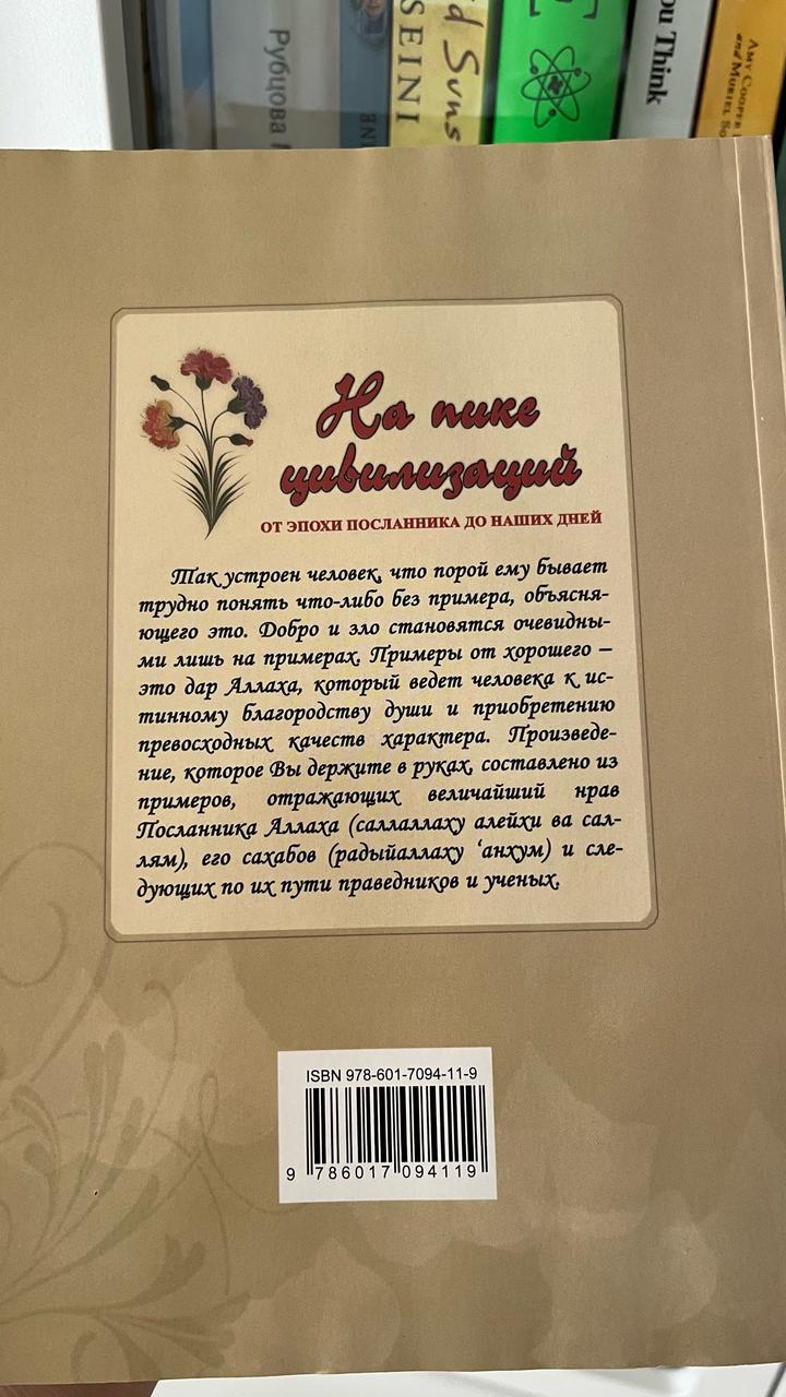 Книга На пике цивилизаций
