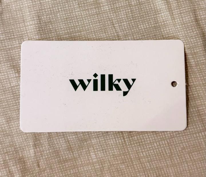 Шорты-карго Wilky