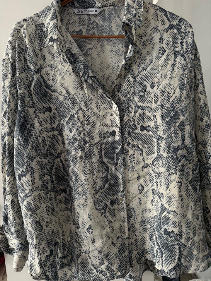 Двойка Zara, рубашка и брюки