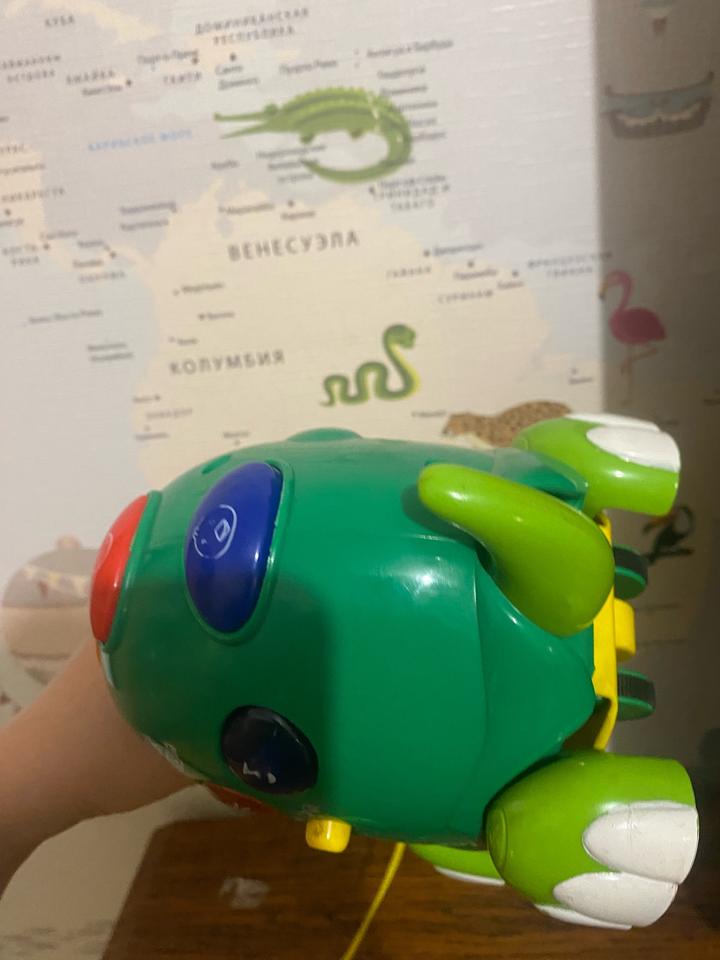 Музыкальная игрушка черепашка