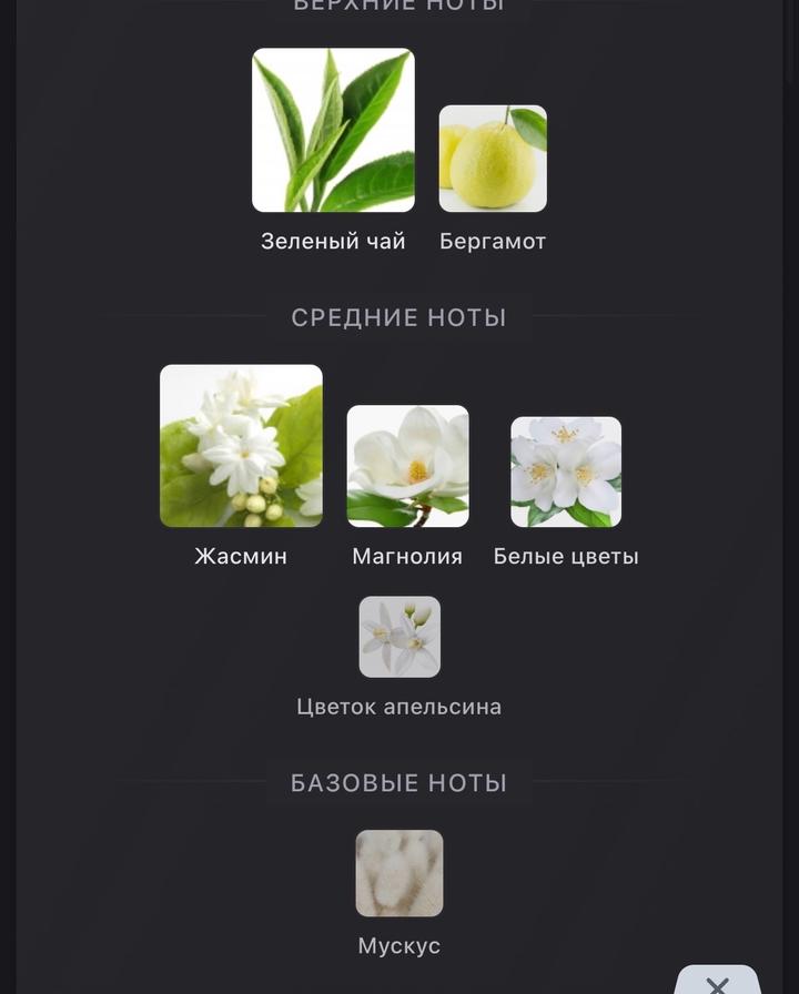 Sweet Jasmine Lanvin