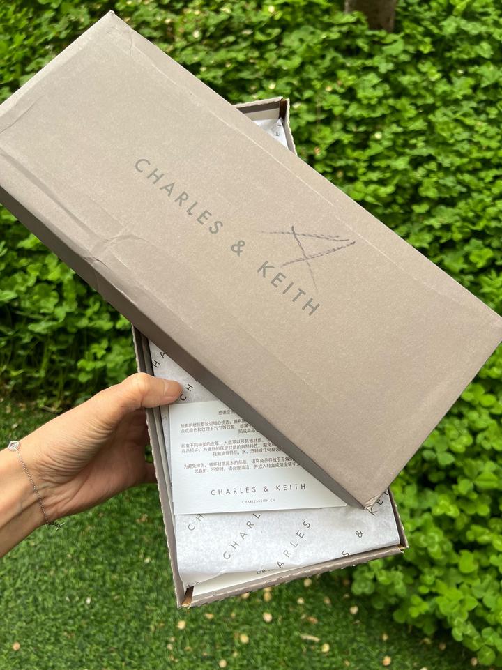 Балетки Charles and Keith