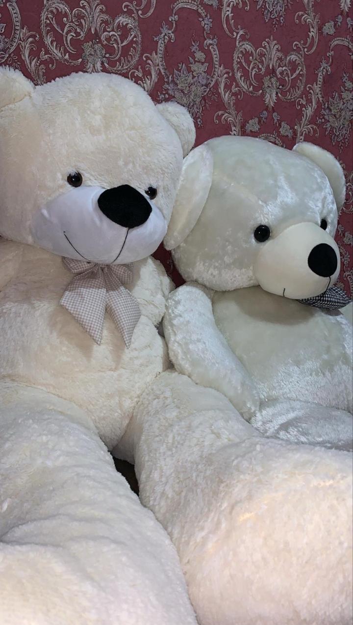 Мишки плюшевые