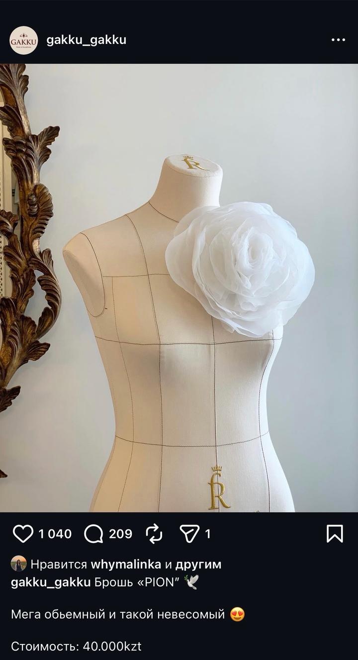 Сет украшений «Gakku»