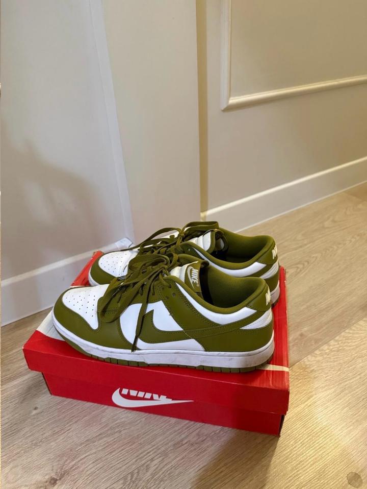 Nike Dunk Low Retro 44.5