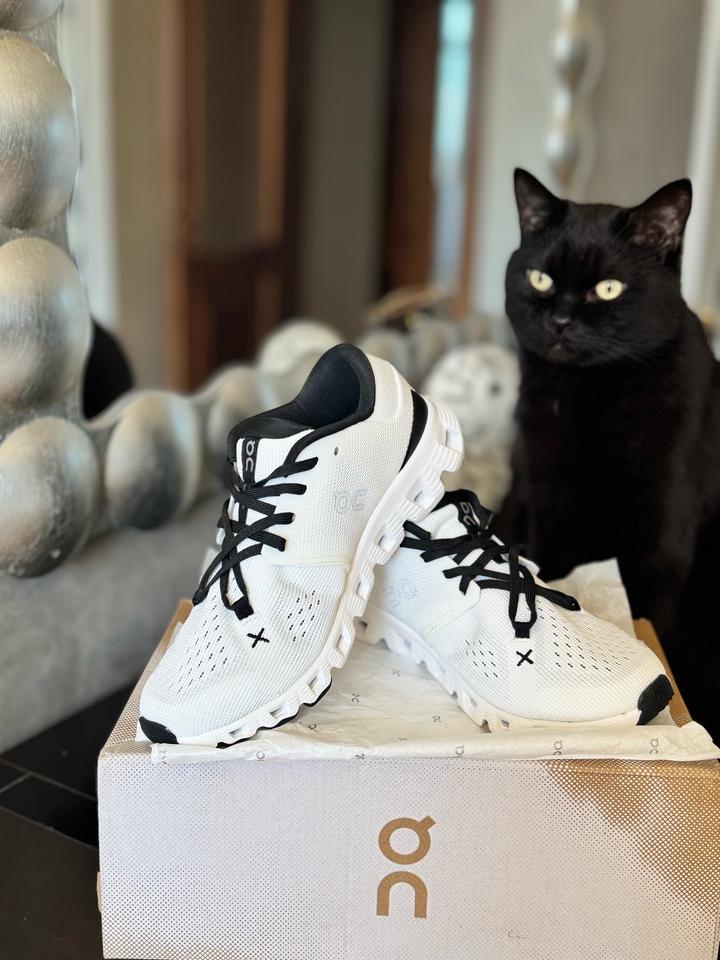 Кроссовки ON Cloud x4