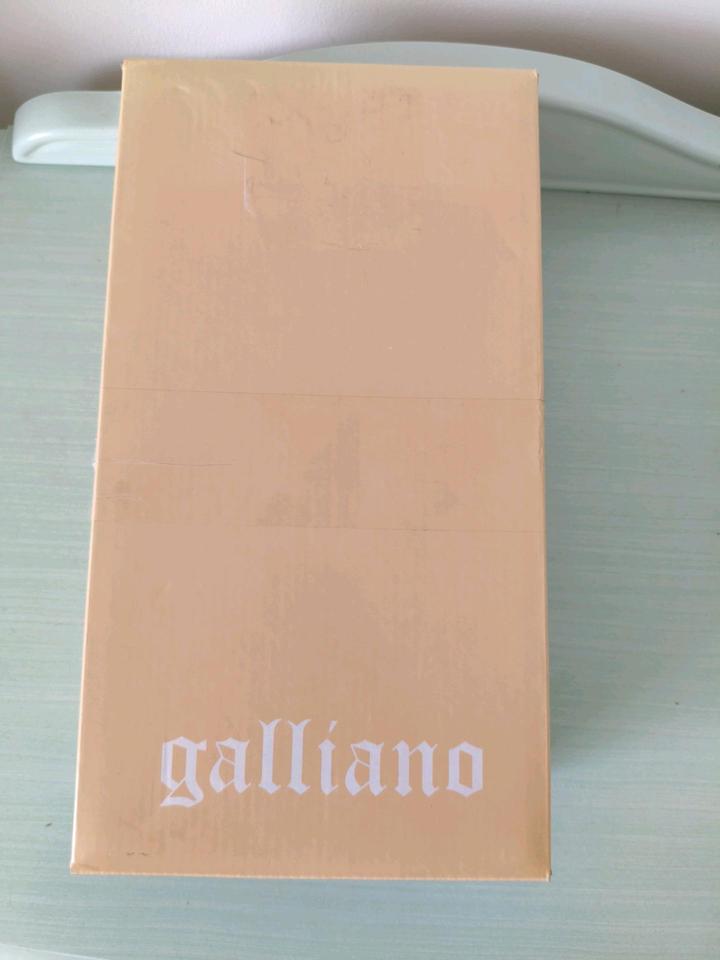 Балетки Galliano