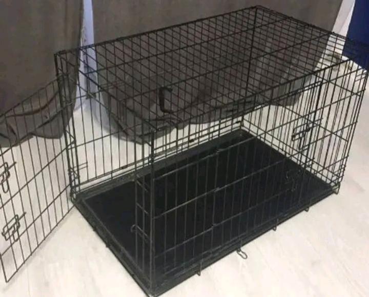 Вольер для собак