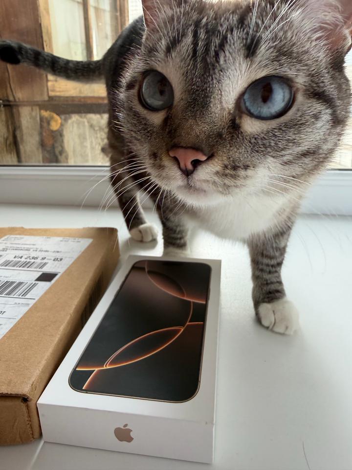 iPhone 16 pro max 512