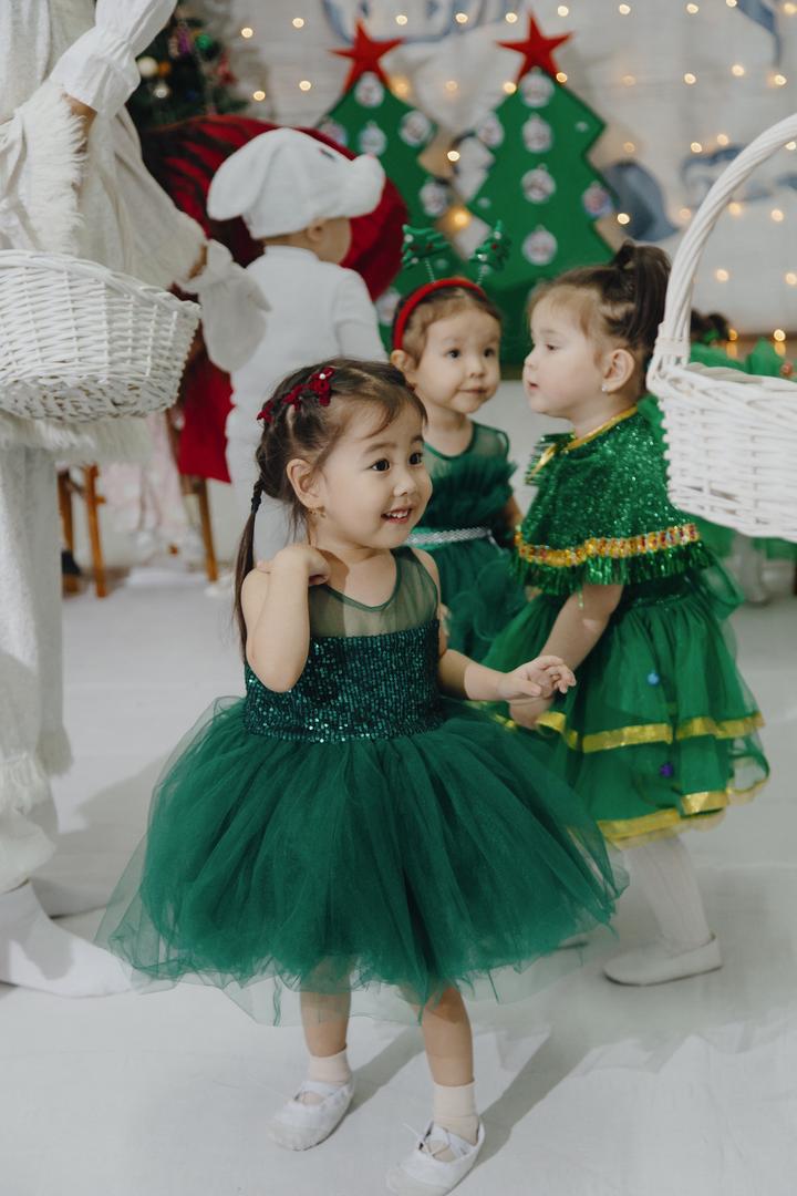 Зеленое платье (елочка)