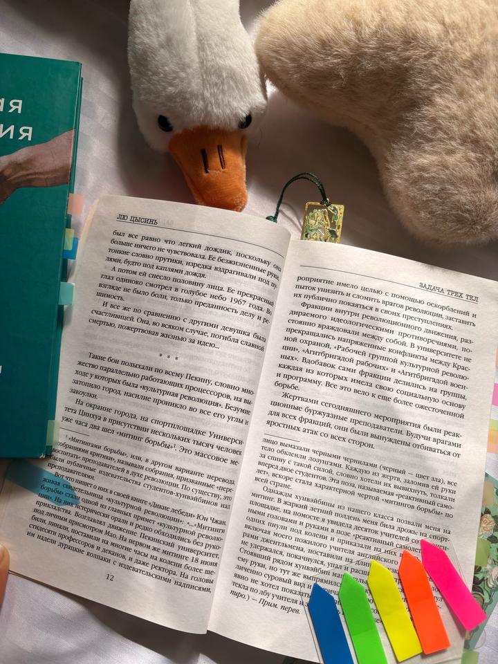 2 книги (плюшевые игрушки в подарок)