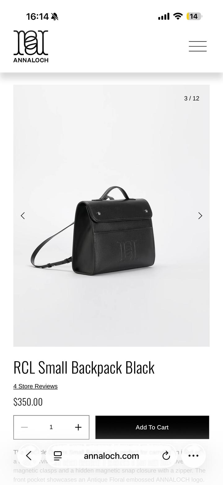 Сумка / Рюкзак. Стоила $350
