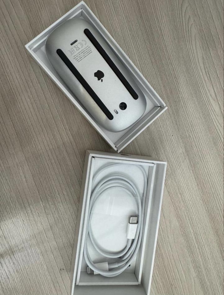 Magic Mouse 2 apple