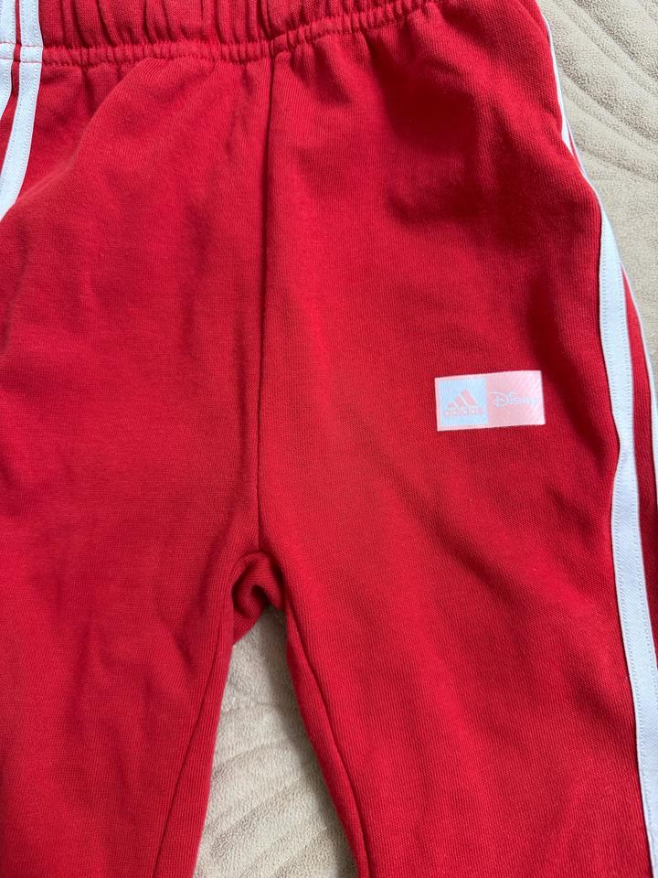 Спортивка adidas