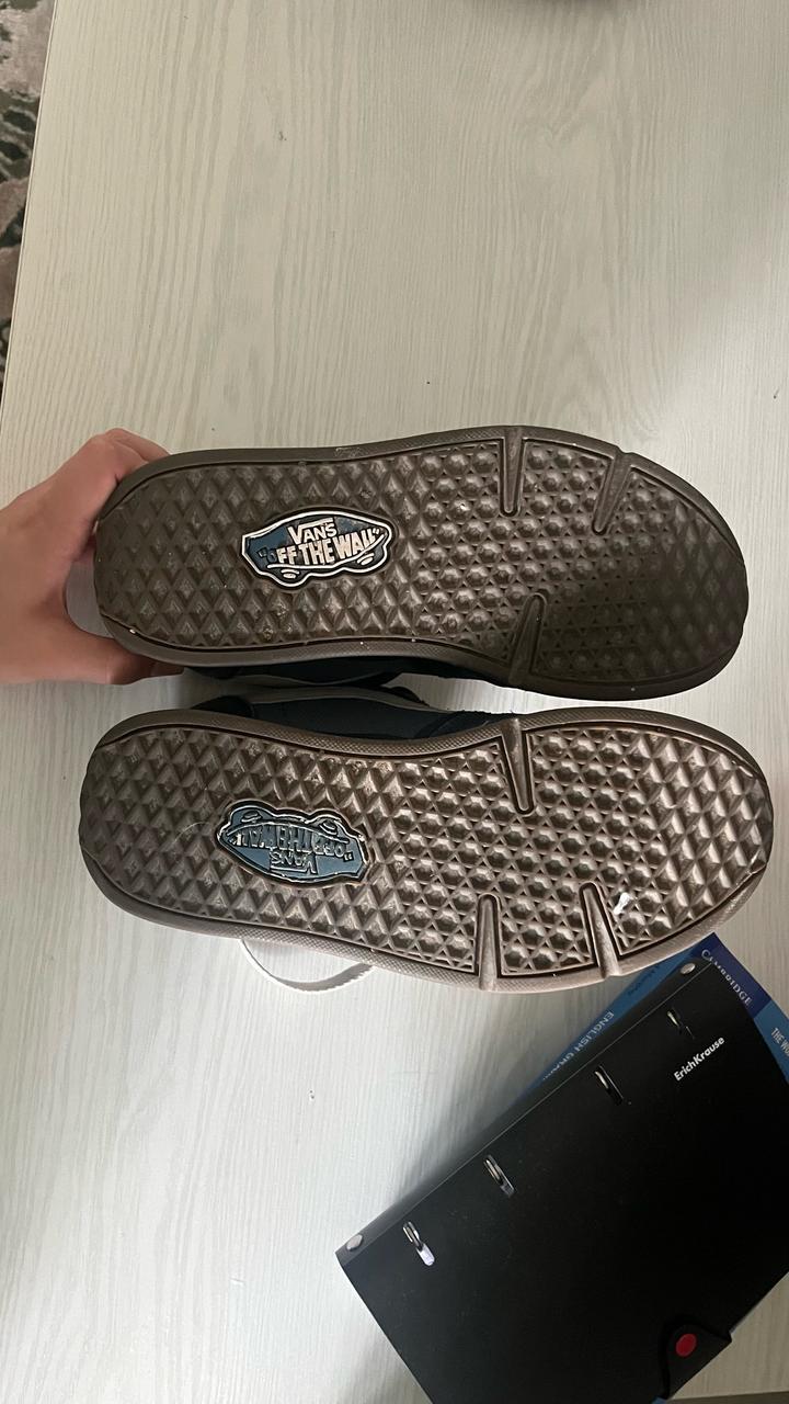 Vans кеды(Vans Skate Rowley XLT)