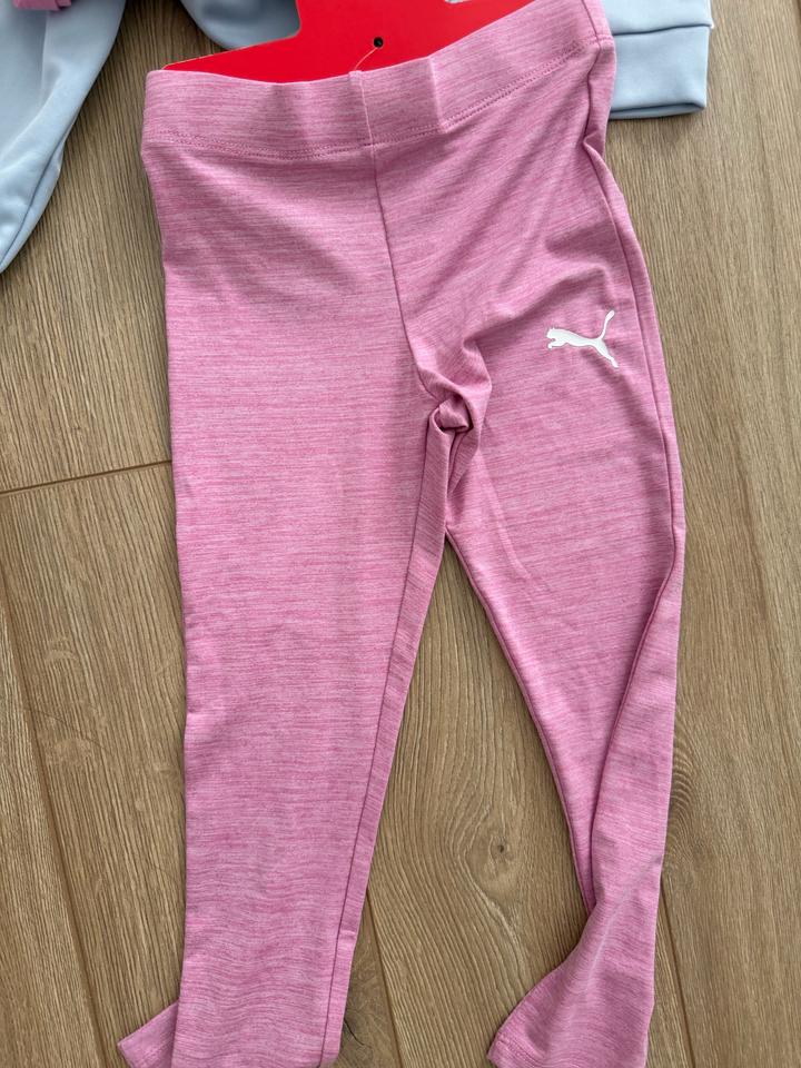 Тройка Puma