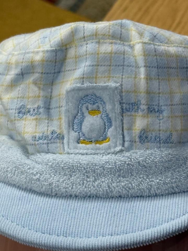 Теплая кепка для мальчика с козырьком и завязками на весну и осень