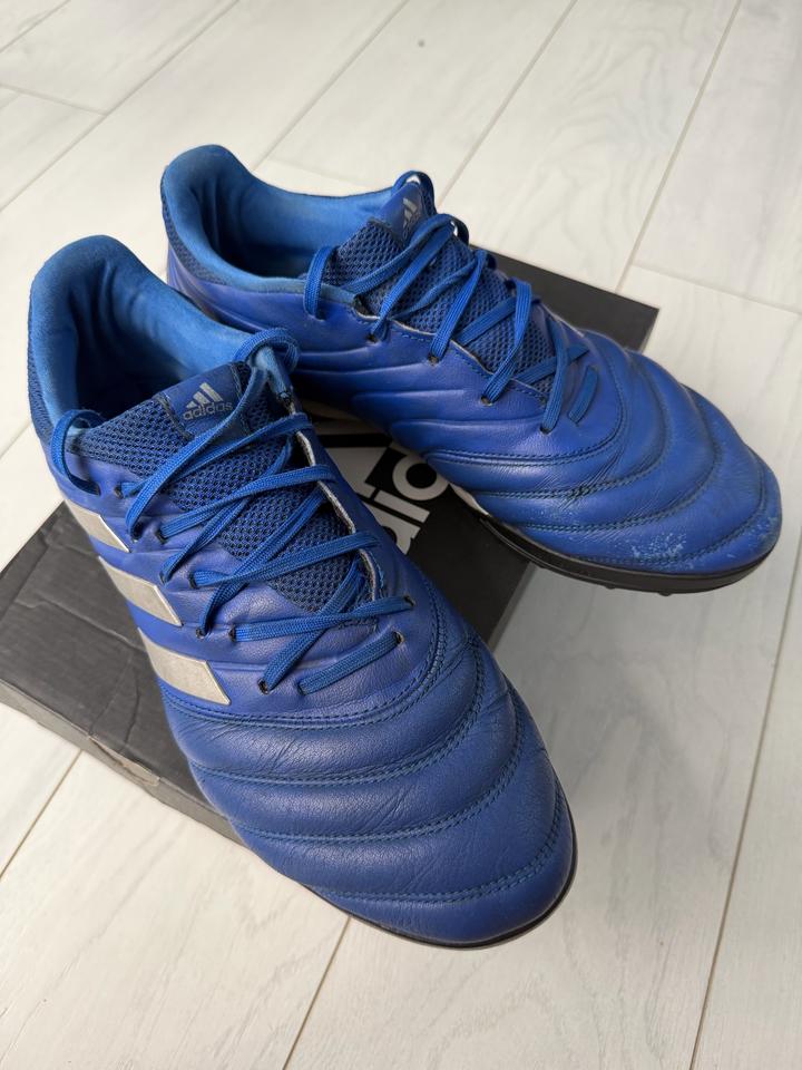 Сороконожки Adidas Copa 20.3 TF