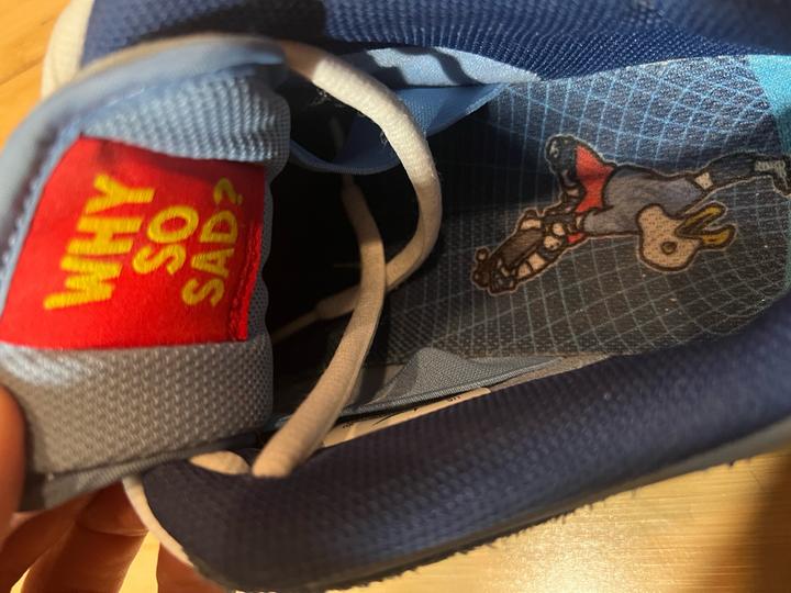 NIKE DUNK SB LOW "WHY SO SAD?"
