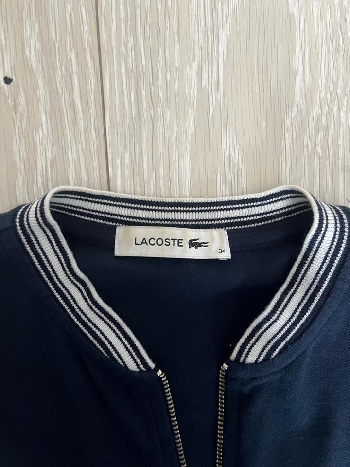 Поло на замке Lacoste оригинал