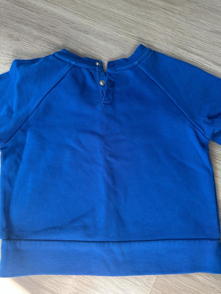 свитшот Jacadi Paris