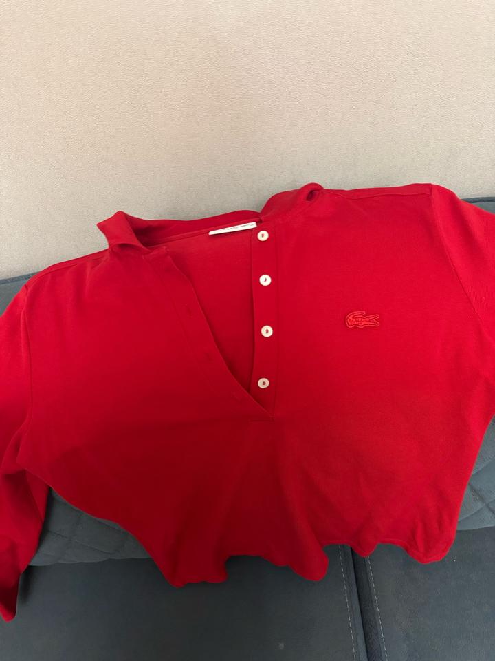 поло с длинными рукавами lacoste