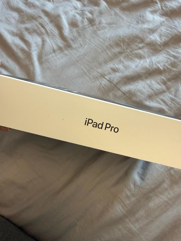 IPad 13 Pro M4 256 gb, WI FI
