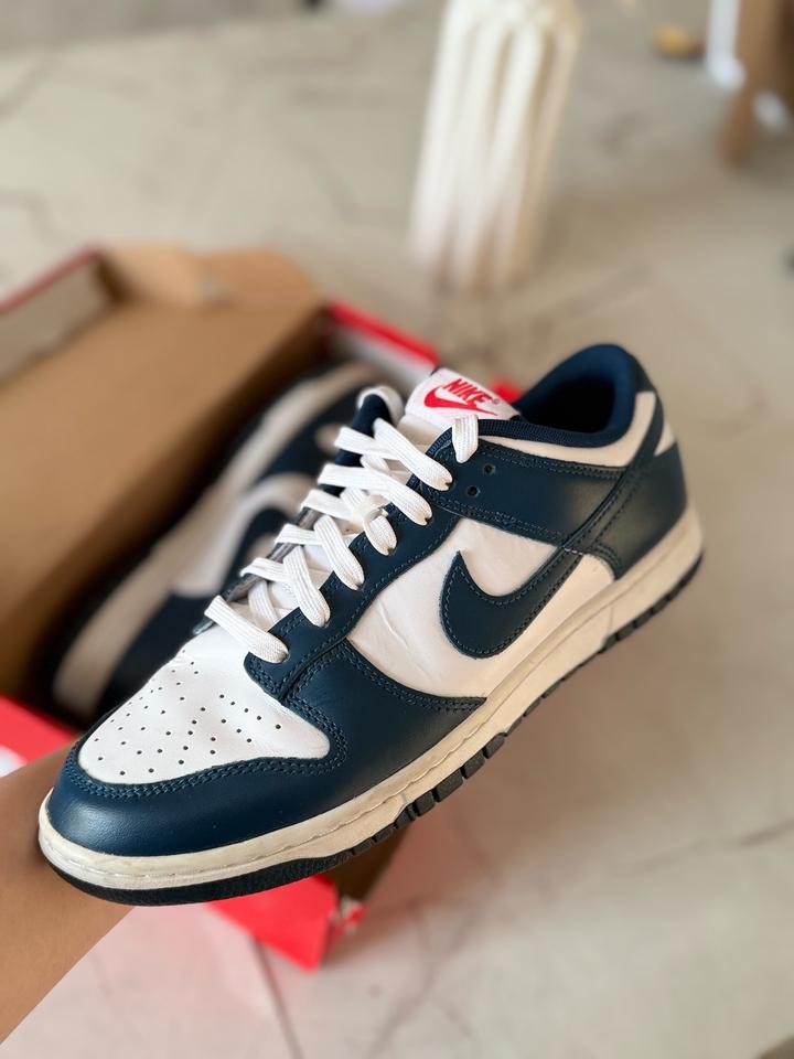 Кроссовки Nike Dunk Low Retro, Valerian blue