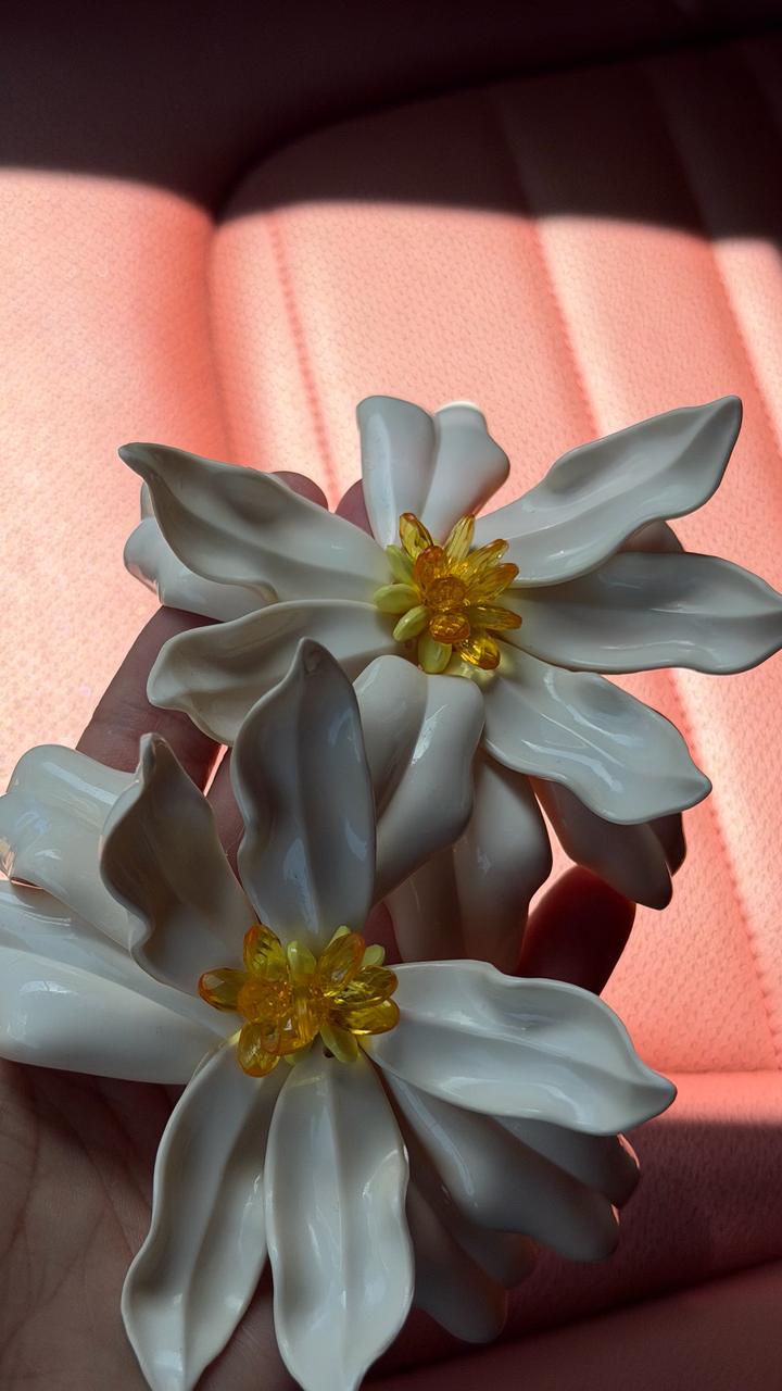 Сережки новые