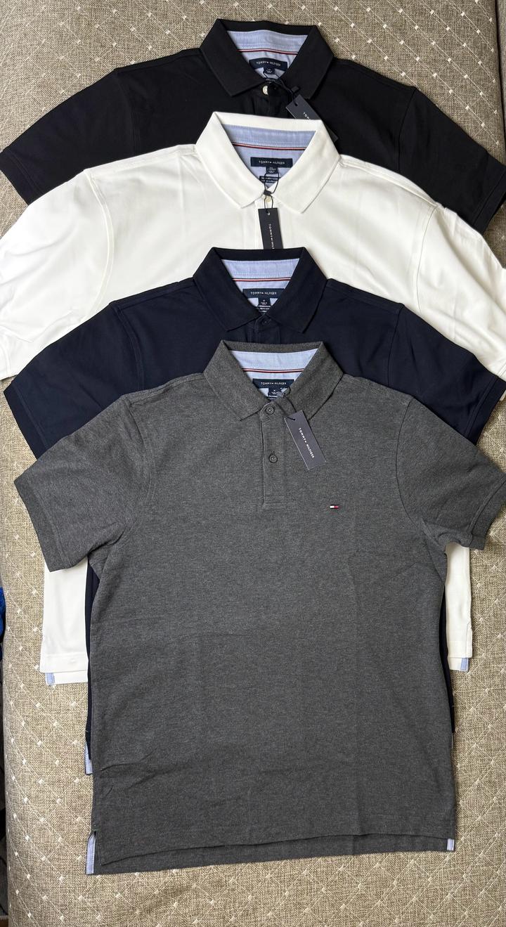 Мужское Polo Tommy