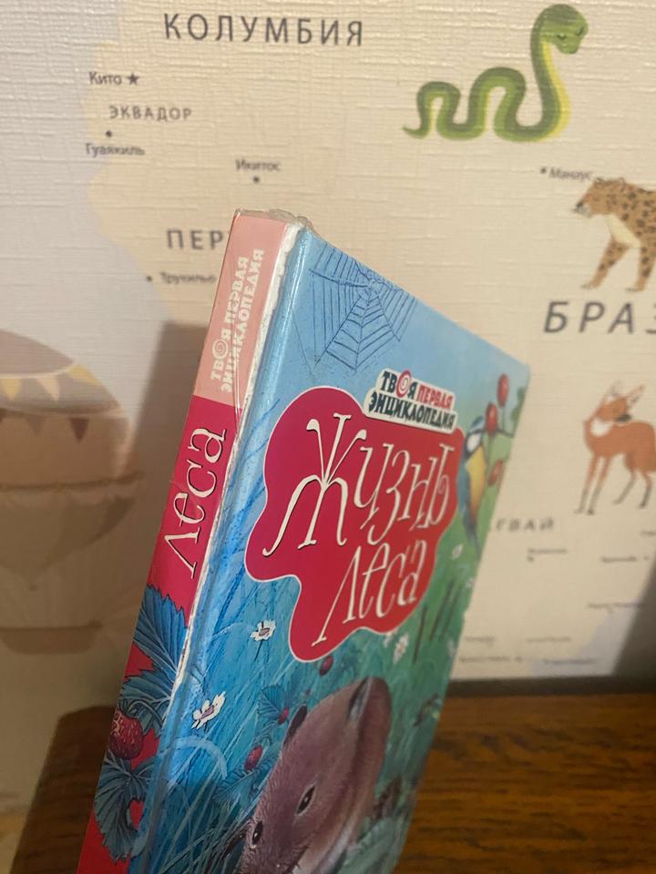 Книги для мальчика