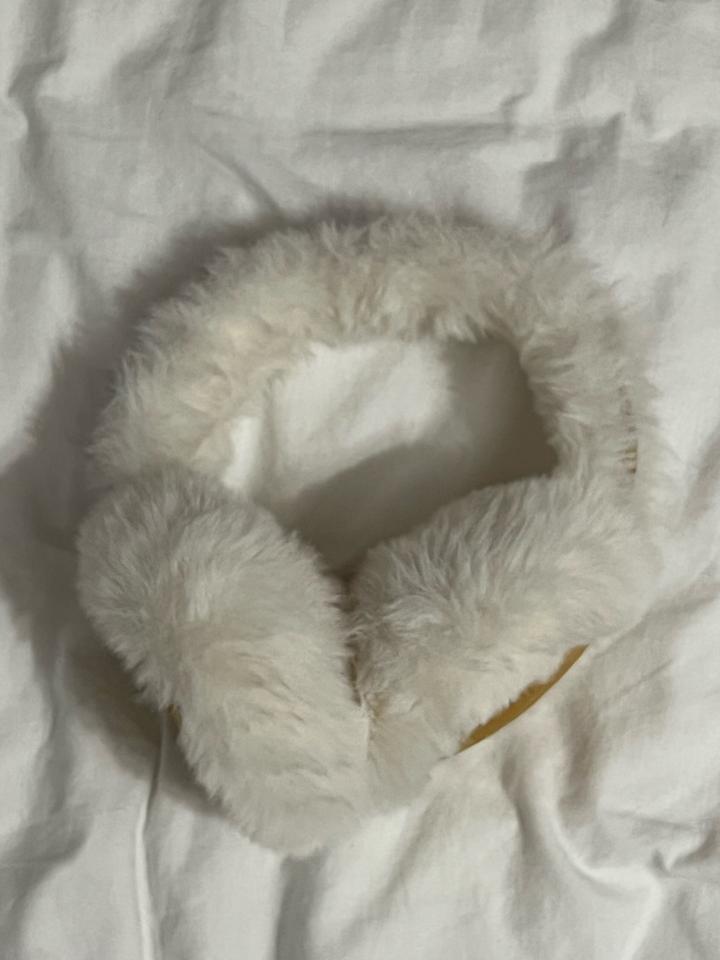 Ушки на зиму