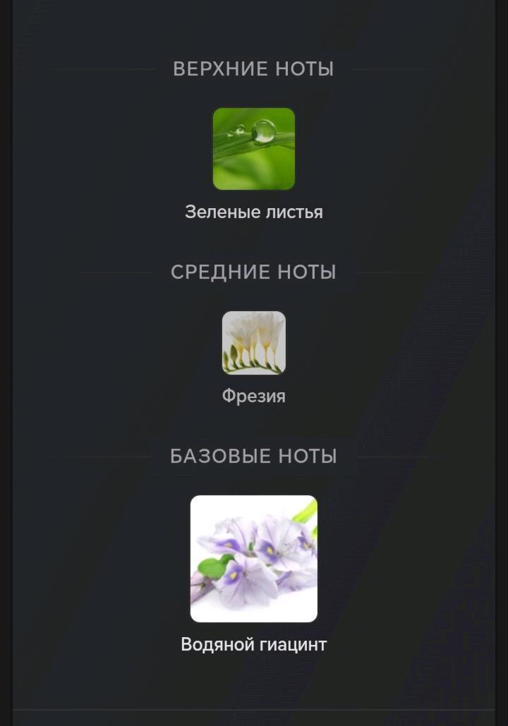 Victoria"s Secret BODY