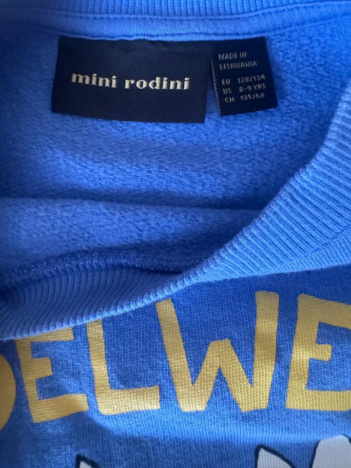Свитшот Mini Rodini