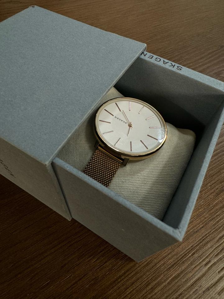 Часы Skagen