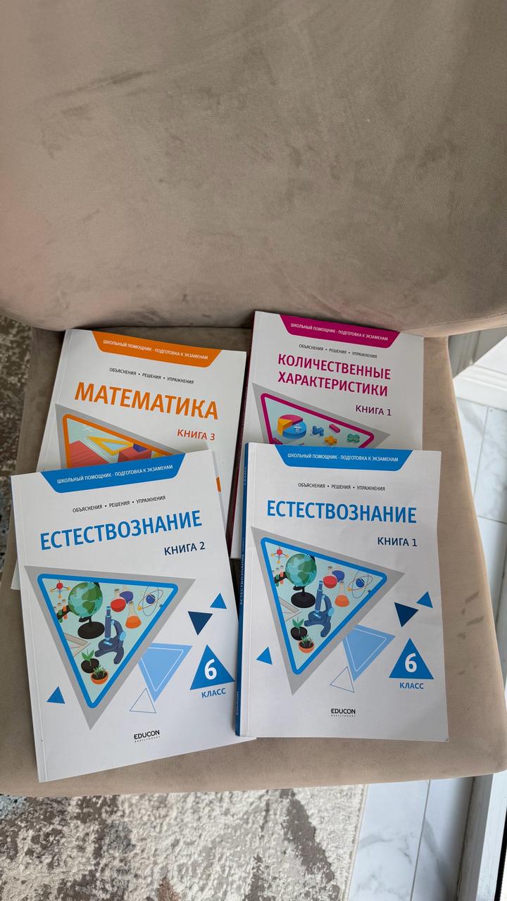 Книги 6 класс подготовка в НИШ